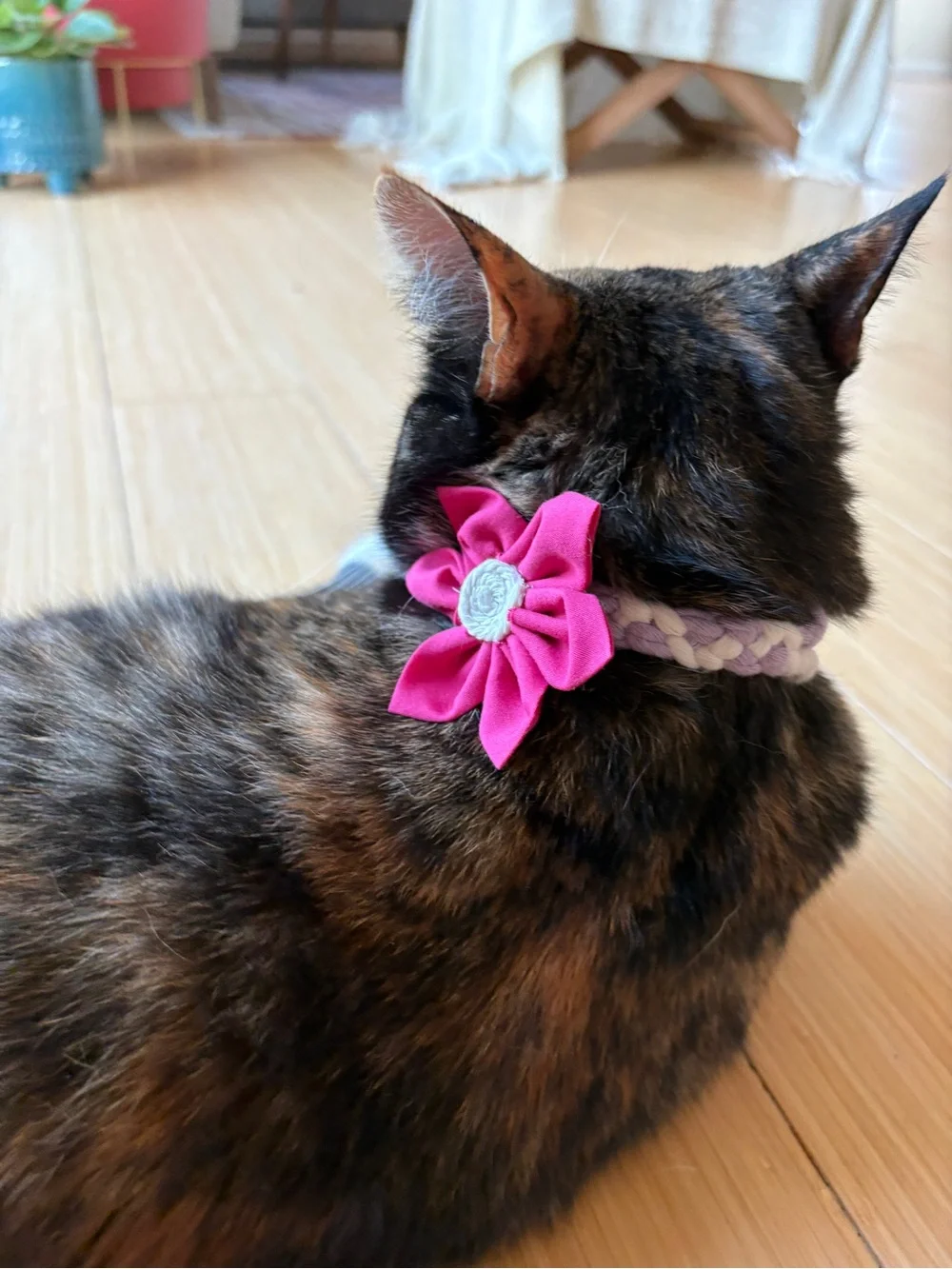 Handmade by Zink & Dot- Removable Pet Collar Floral Accessory